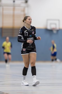 Bild 30 - F HSG Pinnau2 - Rellinger TV2 : Ergebnis: 27:20